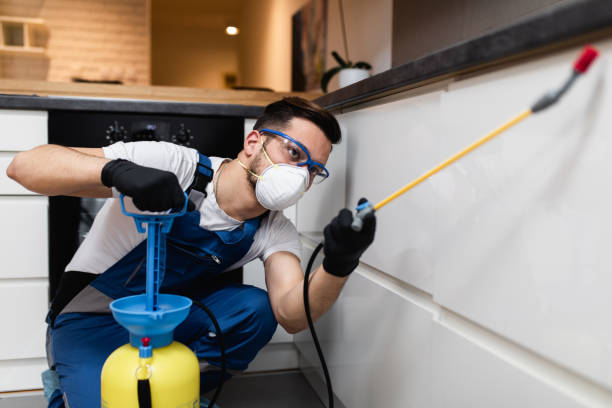Best Pest Control for Homes  in Southmayd, TX
