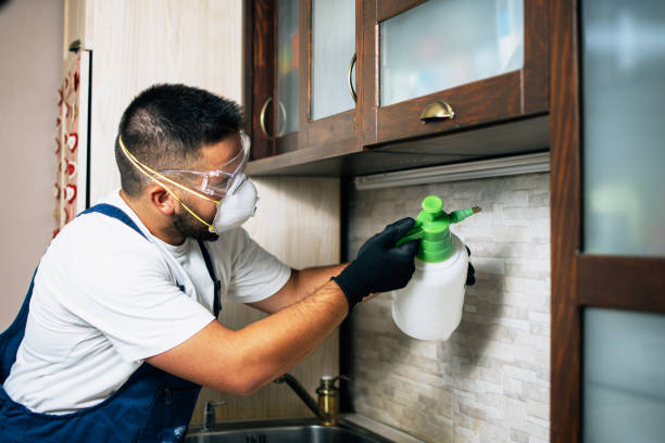 Reliable Southmayd, TX Pest Control Solutions