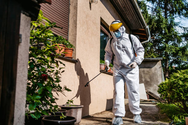 Best Emergency Pest Control  in Southmayd, TX