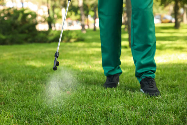 Best Pest Prevention Services  in Southmayd, TX