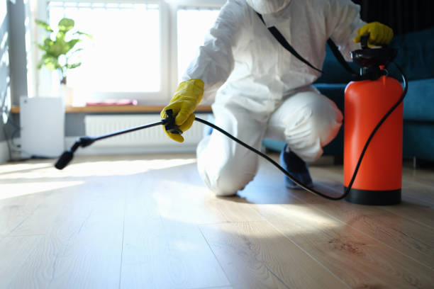Best Best Pest Control Companies  in Southmayd, TX