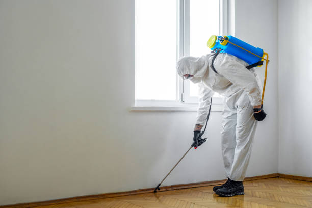 Best Pest Control Near Me in Southmayd, TX