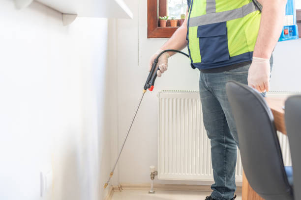 Best Bed Bug Extermination  in Southmayd, TX