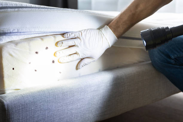 Best Commercial Pest Control Services  in Southmayd, TX