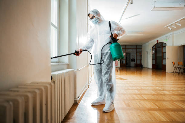 Best Flea Control Services  in Southmayd, TX