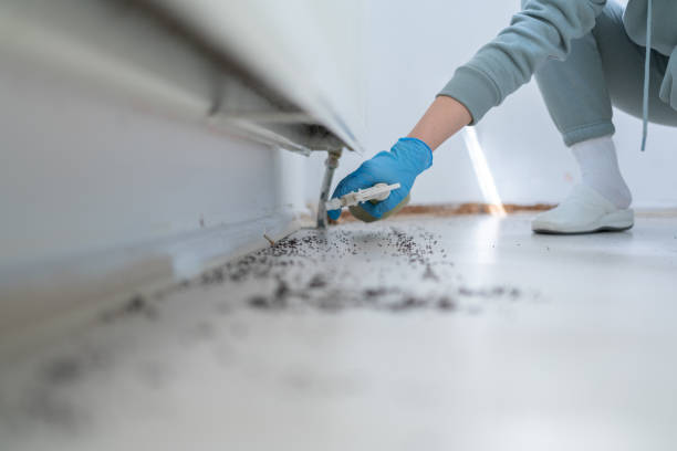 Wildlife Control Services in Southmayd, TX